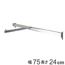 壁面収納 フィットラック コートフックセット 幅75cm ( 送料無料 パーツ オプション 部品 DIY 収納 フック 壁掛け 吊り下げ コート掛け 掛ける収納...