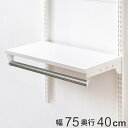 壁面収納 棚 パイプ付き TPセット 幅75cm 奥行40cm フィットラック ( 棚板 ハンガーラック DIY 収納 吊り下げ収納 クローゼット ホワイト 可...