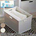 収納ボックス カラーボックス用 RE 高さ24cm 9個セット ( 送料無料 幅39.5×奥行26.5×高さ23.8cm カラーボックス インナーボックス 収納...
