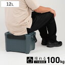 クーラーボックス 12L COREFLUX 座れる 耐荷重100kg ( 保冷 クーラーBOX 保冷ボックス クーラーバッグ 冷蔵ボックス 12リットル クーラ...