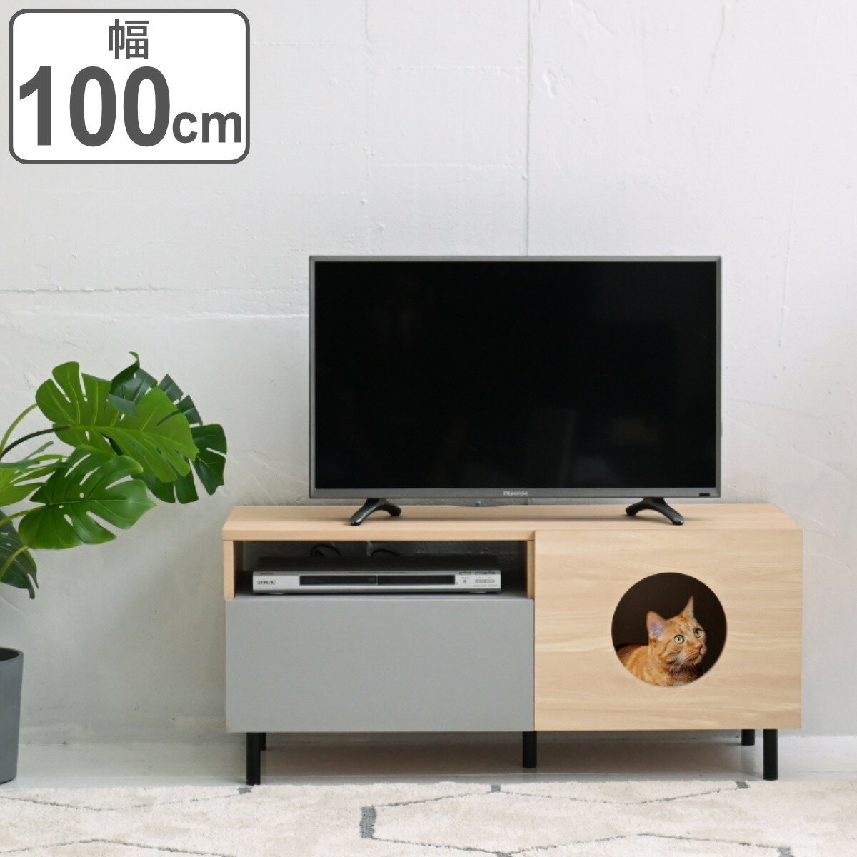 テレビ台 ローボード ペットスペース付 幅100cm （ TVボード TV台 テレビラック 収納 家具 棚 ペット家具 リビング TV 幅100 AVボード シェルフ ラック タップ収納 バイカラー ）