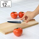 包丁 コンポジット ペティナイフ 12cm 白色木柄 ( 送料無料 コンパクトナイフ 果物ナイフ 万能包丁 おすすめ ステンレス 万能ナイフ 皮むき包丁 皮剥き...