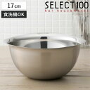 SELECT100 ボウル 17cm ステンレス製 ( セレクト100 ステンレスボウル ステンレス ボール 深型 食洗機対応 17センチ ステンレスボール 調...