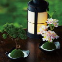 フレグランス 苔玉 盆栽 ( ルームフレグランス アロマ 芳香剤 植物 苔 香り インテリア 雑貨 置物 オーナメント 玄関 リビング 部屋 パッケージ入り )
