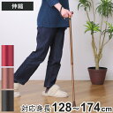 杖 伸縮タイプ 愛杖 Dシリーズ アルミ ( つえ ツエ 伸縮杖 一点杖 伸縮 長さ調節 軽量 介護 歩行補助 高齢者 おしゃれ 介護用品 10段階調節 歩行 補助 リハビリ 衝撃吸収 転倒防止 ストラップ付き )