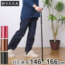 杖 折りたたみタイプ 愛杖 Dシリーズ アルミ ( つえ ツエ 折りたたみ杖 一点杖 伸縮 長さ調節 軽量 介護 歩行補助 高齢者 おしゃれ 介護用品 5段階調節 歩行 補助 リハビリ 衝撃吸収 転倒防止 ストラップ付き )