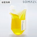 浴室洗剤 そまり SOMALI 複合バスクリーナー 1000ml 詰め替え用 ( バスクリーナー 無添加 天然素材 泡スプレー 浴室掃除 お風呂 掃除 肌にやさしい 石けん バス クリーナー 浴室 ソマリ おしゃれ )(3)