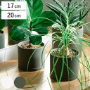 KINTO キントー プラントポット 170×160mm 200×195mm ( 鉢 植木鉢 プランター フラワーポット 17cm 20cm おしゃれ かわいい...