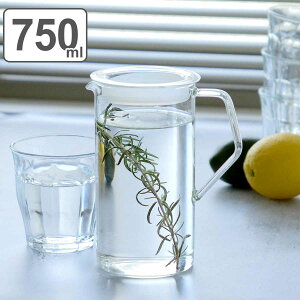 キントー ピッチャー 冷水筒 750ml CAST ウォータージャグ 耐熱ガラス ( KINTO 食洗機対応 電子レンジ対応 ガラス製 水差し 麦茶ポット 水さし 冷水ポット 熱湯 耐熱 取っ手付き パッキン付き 広口 おしゃれ お茶 水 コーヒー 紅茶 )