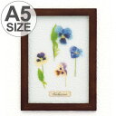 アートフレーム HERBARIUM ART FRAME ビオラ×Brown ( ハーバリウム アート 壁掛け 花 グリーン インテリア 雑貨 スタンド アンティ...