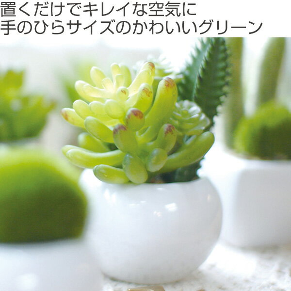 人工観葉植物 消臭アーティフィシャルグリーン サキュレントリフレリウム S タイプ...