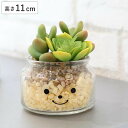 フェイクグリーン 人工観葉植物 ファミーユ 消臭アーティフィシャルグリーン スティーブン ( 造花 人工植物 観葉植物 人工 植物 多肉植物 リアル ct触媒 ...