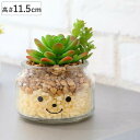 フェイクグリーン 人工観葉植物 ファミーユ 消臭アーティフィシャルグリーン ダニエル ( 造花 人工植物 観葉植物 人工 植物 多肉植物 リアル ct触媒 消臭...