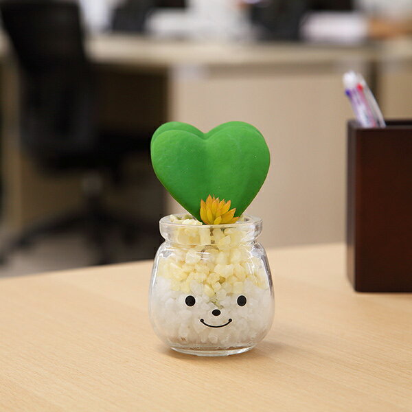 9/1限定【抽選で最大100％P還元】＆先着【最大400円OFFクーポン】 フェイクグリーン 人工観葉植物 ファミーユ 消臭アーティフィシャルグリーン ミーナ （ 造花 人工植物 観葉植物 人工 植物 多肉植物 リアル ct触媒 消臭 防汚 抗菌 風 ）のサムネイル