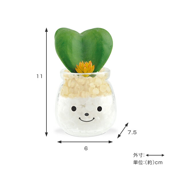 �ե��������꡼�� �͹����տ�ʪ �ե��ߡ��� �ý������ƥ��ե�����륰�꡼�� �ߡ��� �� ¤�� �͹���ʪ ���տ�ʪ �͹� ��ʪ ¿����ʪ �ꥢ�� ct���� �ý� �ɱ� ���� ���� ���� ��ӥ� ���å��� ����ƥꥢ ��