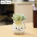 フェイクグリーン 人工観葉植物 ファミーユ 消臭アーティフィシャルグリーン エミリー ( 造花 人工植物 観葉植物 人工 植物 多肉植物 リアル ct触媒 消臭...