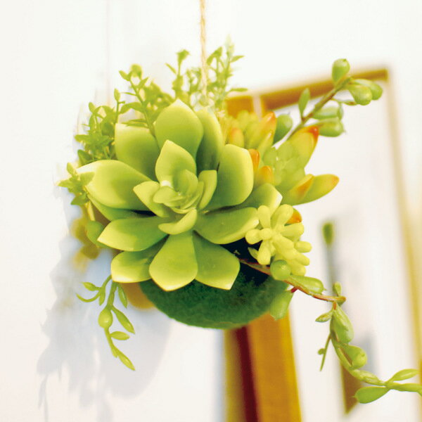 �ե��������꡼�� �ϥ󥮥󥰥ܡ��� S �����ꥢ CT���� ���տ�ʪ �� �͹����տ�ʪ ¤�� �ɤ��� �ϥ󥮥� �������� �ý� ���� �ɱ� ������������ ���� �¿� �ޥ��ʥ���������� ¿����ʪ ��ӥ� �����˥� ������� ��