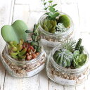 フェイクグリーン エクリア消臭アーティフィシャルグリーン ジャータイプ ( 観葉植物 フェイク 人工観葉植物 多肉植物 CT触媒 消臭 防汚 抗菌 造花 風水 ...