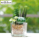 人工観葉植物 消臭アーティフィシャルグリーン ガラス 角型 ( 造花 フェイクグリーン インテリアフラワー アートフラワー 人工 フェイク 植物 多肉植物 サボ...