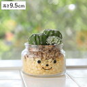 フェイクグリーン 人工観葉植物 ファミーユ 消臭アーティフィシャルグリーン ブライアン ( 造花 人工植物 観葉植物 人工 植物 多肉植物 リアル ct触媒 消...