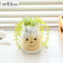 フェイクグリーン 人工観葉植物 ファミーユ 消臭アーティフィシャルグリーン テイラー ( 造花 人工植物 観葉植物 人工 植物 多肉植物 リアル ct触媒 消臭...