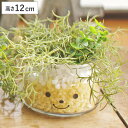 フェイクグリーン 人工観葉植物 ファミーユ 消臭アーティフィシャルグリーン ハンナ ( 造花 人工植物 観葉植物 人工 植物 多肉植物 リアル ct触媒 消臭 ...
