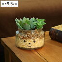 フェイクグリーン 人工観葉植物 ファミーユ 消臭アーティフィシャルグリーン ジェシカ ( 造花 人工植物 観葉植物 人工 植物 多肉植物 リアル ct触媒 消臭...