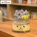 フェイクグリーン 人工観葉植物 ファミーユ 消臭アーティフィシャルグリーン リリー ( 造花 人工植物 観葉植物 人工 植物 多肉植物 リアル ct触媒 消臭 ...