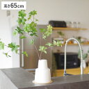 フェイクグリーン ドウダンツツジ L 人工観葉植物 エクリア ( 卓上 観葉植物 造花 CT触媒 光触媒 消臭 防汚 抗菌 簡単 清潔 安心 インテリア 玄関 ...