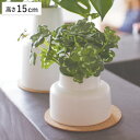 フェイクグリーン クローバー M 人工観葉植物 エクリア ( 卓上 観葉植物 造花 CT触媒 光触媒 消臭 防汚 抗菌 簡単 清潔 安心 インテリア 玄関 デス...