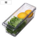 保存容器 すのこ付き 透明 野菜保存容器 Mサイズ ( 冷蔵庫収納 冷蔵庫 収納ケース トレー 深型 日本製 BPAフリー 蓋付き スタッキング 食品保存 水切...