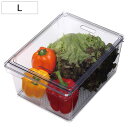 保存容器 すのこ付き 透明 野菜保存容器 Lサイズ ( 冷蔵庫収納 冷蔵庫 収納ケース トレー 深型 日本製 BPAフリー 蓋付き スタッキング 食品保存 水切...