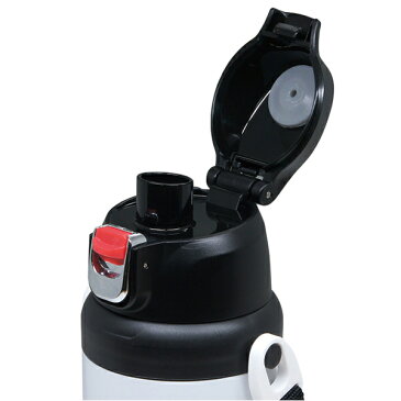 子供用水筒 仮面ライダービルド 直飲み 600ml ステンレス製 ( 保冷 ステンレス ダイレクトボトル ダイレクトステンレスボトル すいとう ビルド ステンレスボトル )