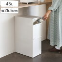 ゴミ箱 45L 2段 幅25.5cm 隙間で使える スイングストッカー ( ごみ箱 ダストボックス 45リットル 20L 25L 2分別 キッチン 省スペース スリム 隙間収納 縦型 隙間 収納 キッチン収納 分別 ストッカー スイング蓋付き )