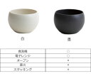 カップ 湯呑み 230ml 結 YUI 食器 和食器 コップ 磁器 美濃焼 日本製 （ 食洗機対応 電子レンジ対応 湯飲み 湯呑 お茶 ロックグラス マグカップ 持ち手なし 湯呑茶碗 湯のみ 茶器 和モダン おしゃれ カフェ風 ） 2