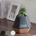 植木鉢 GOYA セラミック ( プランター プラントポット フラワーポット 植物用ポット 鉢 花器 鉢カバー ポット 六角口 植木鉢カバー 鉢入れ 植物 花 観葉植物 多肉植物 卓上 園芸 インテリア おしゃれ 底穴あり )