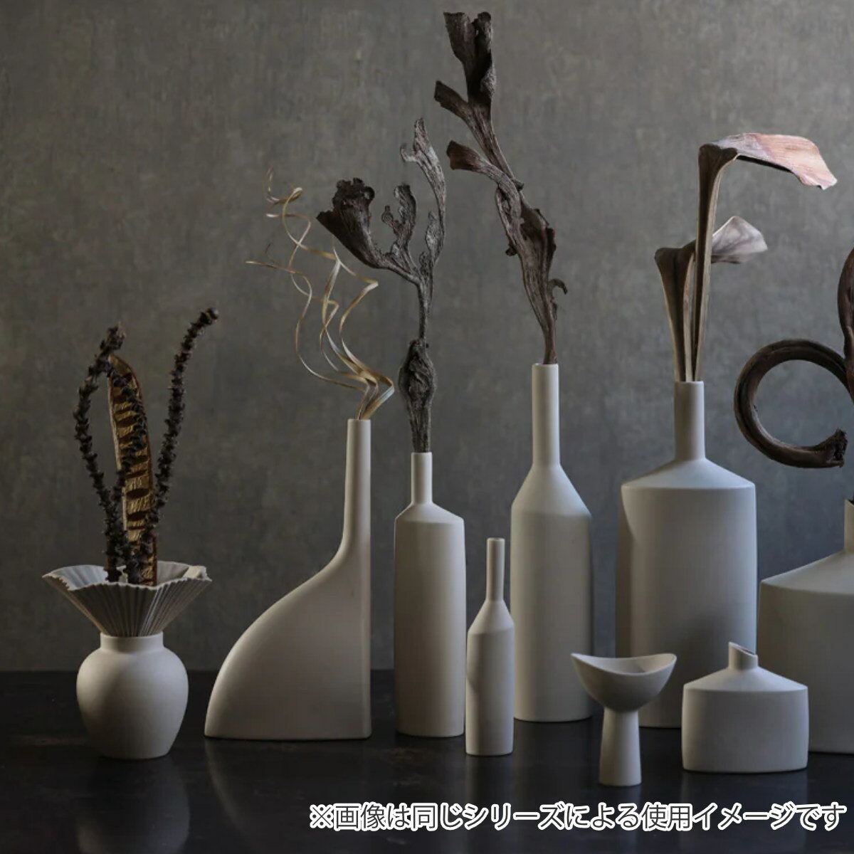 �ɥ饤�ե� CASTO COCO CURL �� �� ��ʪ ����ƥꥢ �ֺ� �ʥ����� ������� ���֥��� �ǥ����ץ쥤 ���� ��ʪ ���ͤ��� �ޤ�� �ڤλ� ���ե� ����ƥꥢ���� ���� ��ӥ� �������� ������ ��