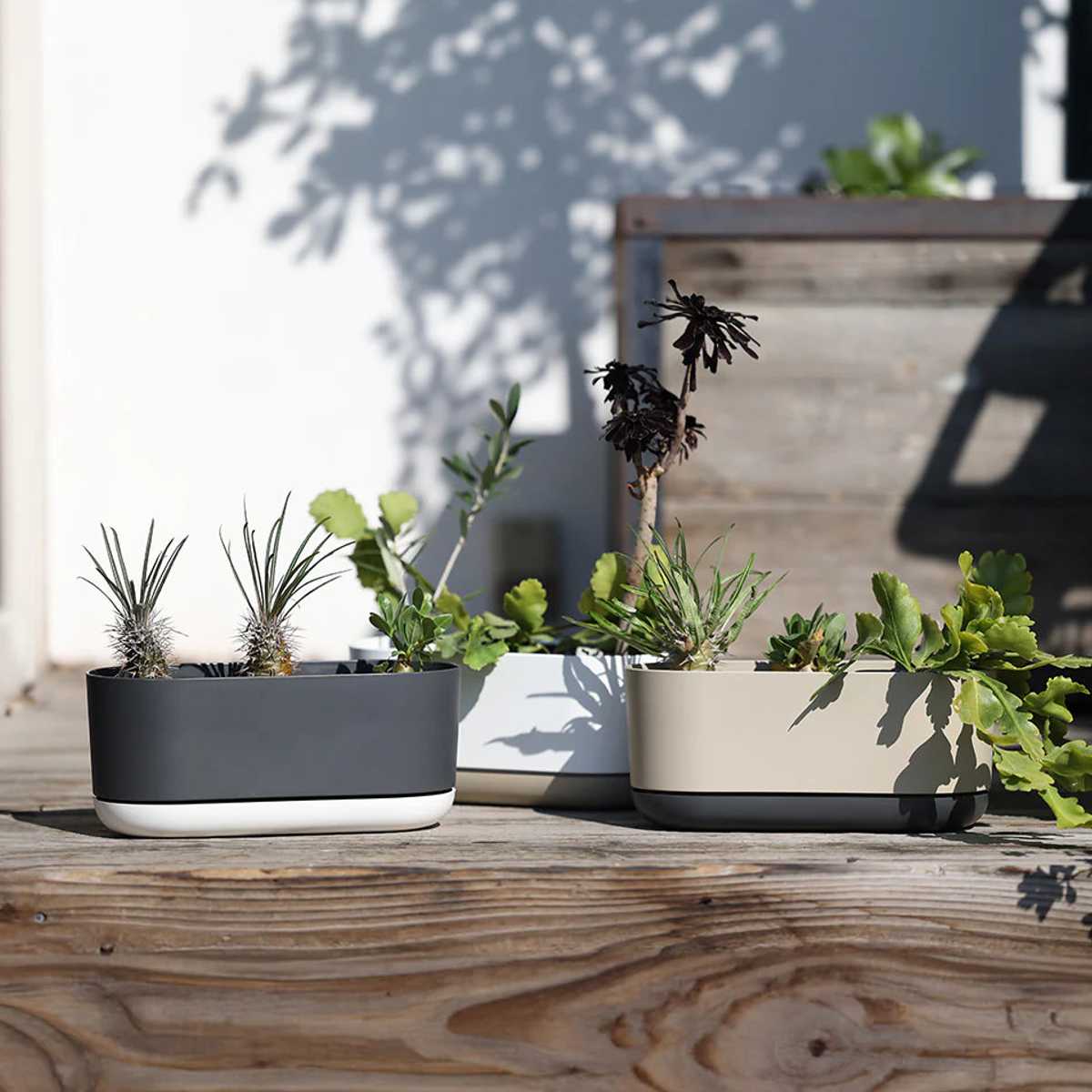 プランター エスジーアイプランター オーバル 受け皿付き （ 植木鉢 フラワーポット プラントポット プランターポット 鉢 鉢植え 植え替え おしゃれ 観葉植物 多肉植物 サボテン 園芸 受け皿 水抜き穴 自動吸水 リサイクル 楕円 ）