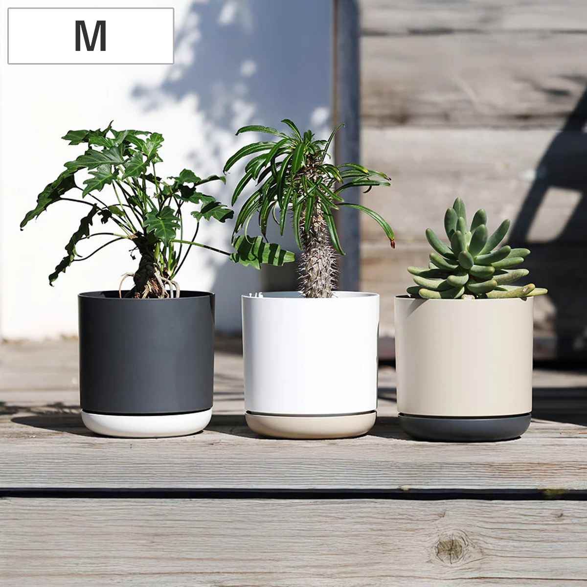 植木鉢 エスジーアイポット M 6号 受け皿付き （ フラワーポット プラントポット プランターポット 鉢 鉢植え インテリア 植え替え おしゃれ 観葉植物 多肉植物 サボテン 園芸 受け皿 水抜き穴 自動吸水 リサイクル 丸型 ）