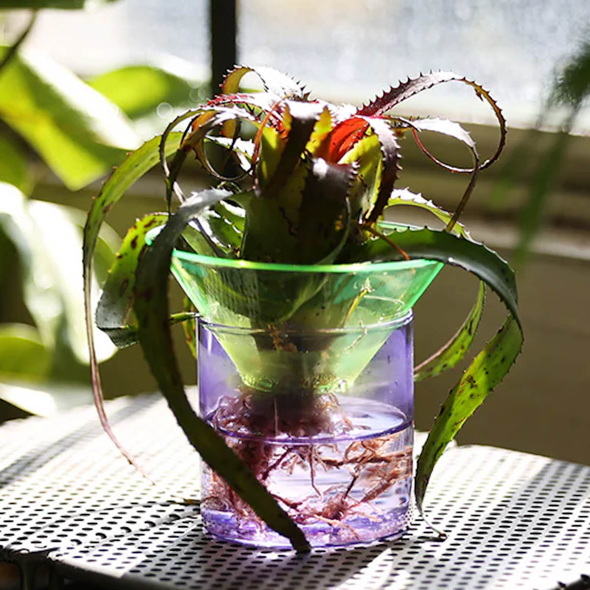 フラワーベース GLOW GROW MOON SPROUT ガラス （ 花ビン 花びん 花器 フラワー 花 飾る 水耕栽培 花入れ ガラス製 ネオン おしゃれ 一輪挿し サボテン 多肉植物 低い オブジェ セパレート ）