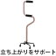 杖　2段階　4点支柱杖　非課税 （ 多点杖 4点杖 立ち上がり 立ち座り リハビリ 歩行補助 安定感 握りやすい 室内用 自立 介護用品 立ち上がりサポート ）