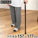 杖 折りたたみ エコノミーステッキ 折りたたみ杖 アルミ製 ( つえ ステッキ 軽量 折り畳み コンパクト 伸縮杖 長さ調節 介護用 高齢者 歩行補助 5段階調節 ストラップ付 介護用品 転倒防止 SGマーク 持ち運び リハビリ )