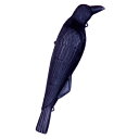 鳥害対策 カラスよけ カラス撃退 コワガラス (鳥よけ ハトよけ 防鳥用品 園芸 烏 鳥害 )
