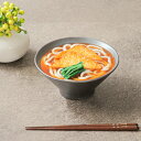 麺鉢 17.5cm M.STYLE 武蔵 ヌードルボウル 磁器 美濃焼 ( 送料無料 食器 和食器 日本製 皿 食洗機対応 電子レンジ対応 中鉢 丸 ラウンド ...