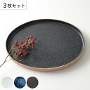 プレート 26cm L オーバル TOSS 磁器 美濃焼 同色3枚セット ( 食洗機対応 電子レンジ対応 皿 お皿 大皿 盛皿 楕円 高級感 シック 切り立ち形...