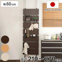 突っ張りウォールパーテーション 幅60cm 間仕切り フック5個付 日本製 ( 突っ張り ラック 突っ張りラック ラダーラック 壁面収納 壁面 収納 幅60 フ...