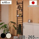 突っ張り ラダーラック 幅40cm フック3個 棚板1枚付き カールデザイン ( 壁面収納 ウォールラック つっぱり 突っ張り式 ラック フック付 壁面 収納 ...