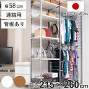 突っ張り 間仕切りラック 連結用 幅58cm 背板付き 日本製 ( 突っ張りラック オープンラック ワードローブ ラック 間仕切り 収納 衣類 小物 収納ラック つっぱり 衣類収納 小物収納 棚 洋服 連結 シンプル )