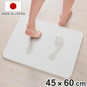 珪藻土バスマット バスマット 45×60cm 瞬乾力 珪藻土 日本製 ( お風呂マット 45×60 足ふきマット 吸水 速乾 国産 浴室マット バーミキュライト...