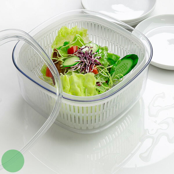 ザル ボウル フタ付き あらう Vegimage （ 保存容器 野菜保存容器 野菜用保存容器 ベジマジ 野菜用保存かご 野菜 保存 ベジタブル 水切り サラダボウル 日本野菜ソムリエ協会監修 ）